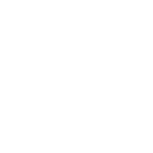 Turtle Wax Logo